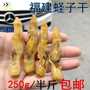 生蚝嫂蛏子干货福建海蛏子250g特产无沙大号竹蛏子干渔家自晒野生