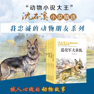 沈石溪画本中短篇精选: 退役军犬黄狐 狼种 我忠诚的动物朋友系列