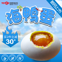田歌新品海鸭蛋65g*20枚咸鸭蛋广西沿海红树林天然流油非烤海鸭蛋