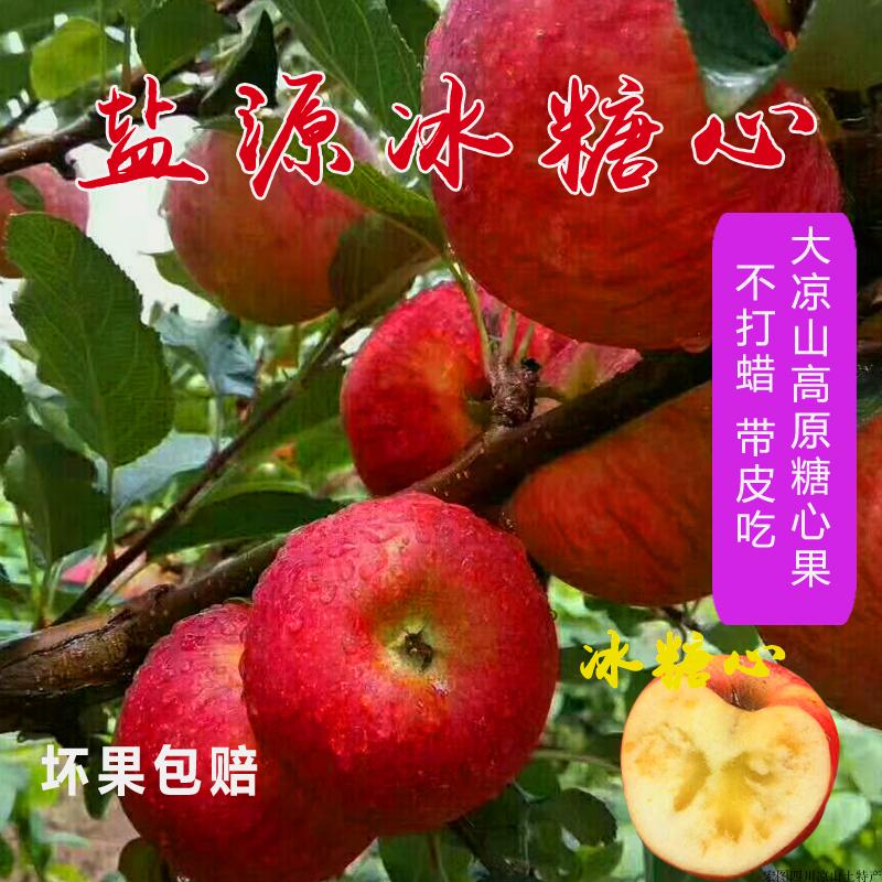 ´óÆ»¹ûºì