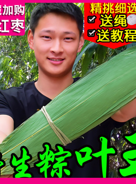 粽叶粽子叶免邮新鲜大号干家用竹叶包粽子的粽叶特大码棕叶非芦苇