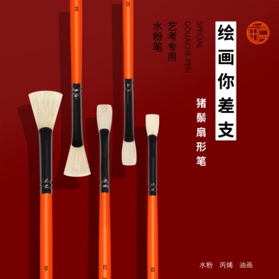 画喜美术生集训专用色彩笔水洗猪鬃扇形笔水粉丙烯油画绘画塑造笔