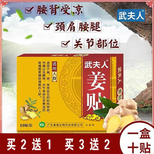 【正品】武夫人艾草贴艾叶艾灸贴生姜贴腰酸腿疼乏力疼痛热敷贴