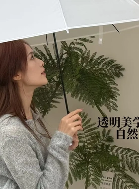 雨中花透明伞企长柄伞小雨伞手动伞可爱高级感小号网红磨砂白色骨