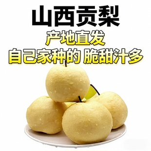 山西贡梨新鲜当季酥脆多汁皮薄高山冰糖蜜梨 5斤10斤整箱水果包邮