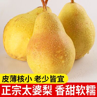山西太婆梨新鲜现摘当季水果老妈子软梨子笨梨自种农家放软吃包邮