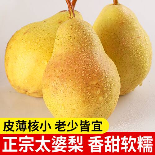 山西太婆梨新鲜现摘当季水果老妈子软梨子笨梨自种农家放软吃包邮