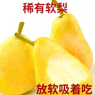 山西太婆梨香蕉梨巴梨软梨大头梨子应当季新鲜水果3斤5斤10斤整箱