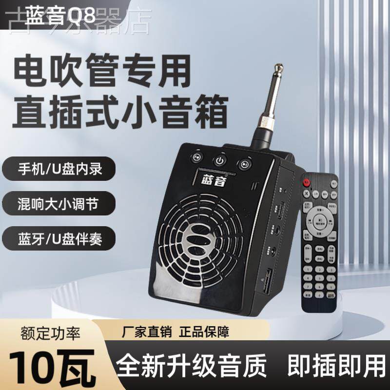 蓝音Q8电吹管直插式小音箱便携雅佳罗兰华魅蓝牙内录伴奏吉他音响