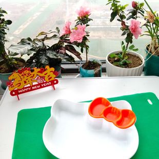 创意hlokitty猫糖果盘收纳染料盘可爱分格家居食品级塑料儿童饭盒