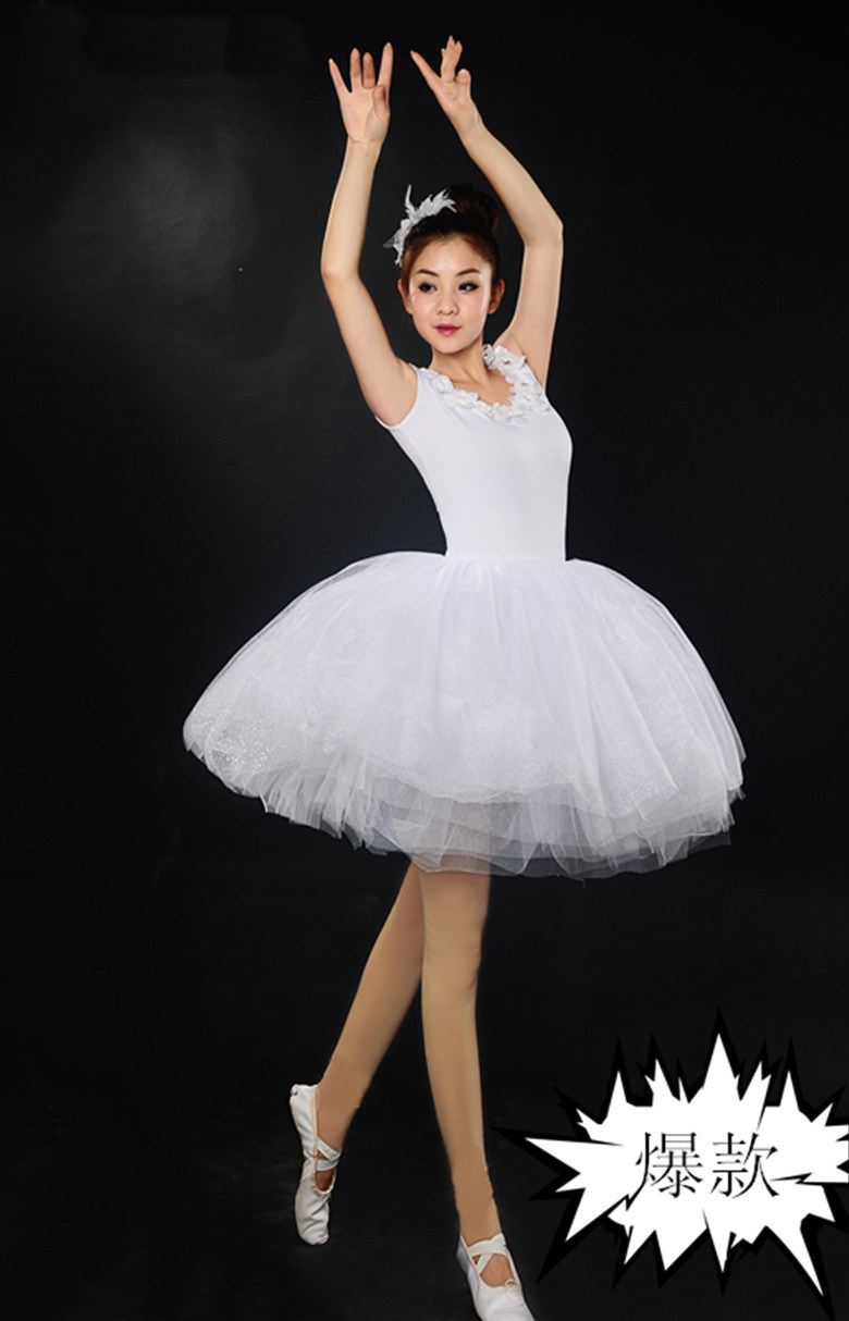 芭蕾舞裙成人舞蹈纱裙专业芭蕾舞比赛黑白天鹅舞演出服装短蓬蓬裙在类目 运动/瑜伽/健身/球迷用品, 舞蹈/健美操/体操, 芭蕾舞, 芭蕾舞服中 - 来自Buy2taobao.com提供专业的淘宝代购服务