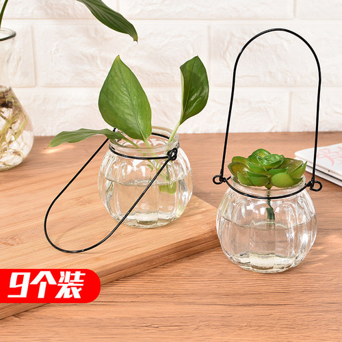 个装玻璃南瓜简约风水培家居装饰