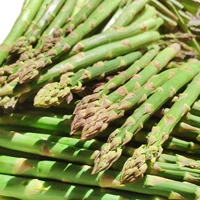 Тара, 50 грамм