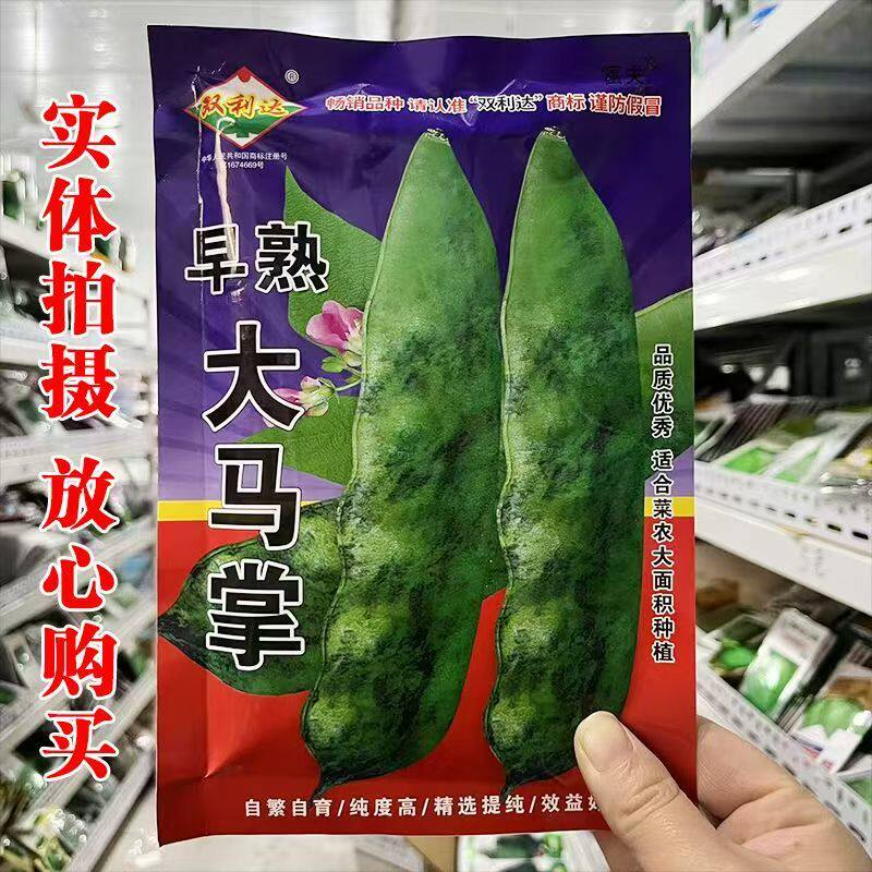 新籽东北农家豆角籽大马掌油豆角种子架豆油豆角子蔬菜种籽原种