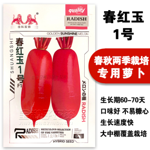 春红一号萝卜种子杂交一代红皮白肉大罗卜种籽早春保护地露地20克