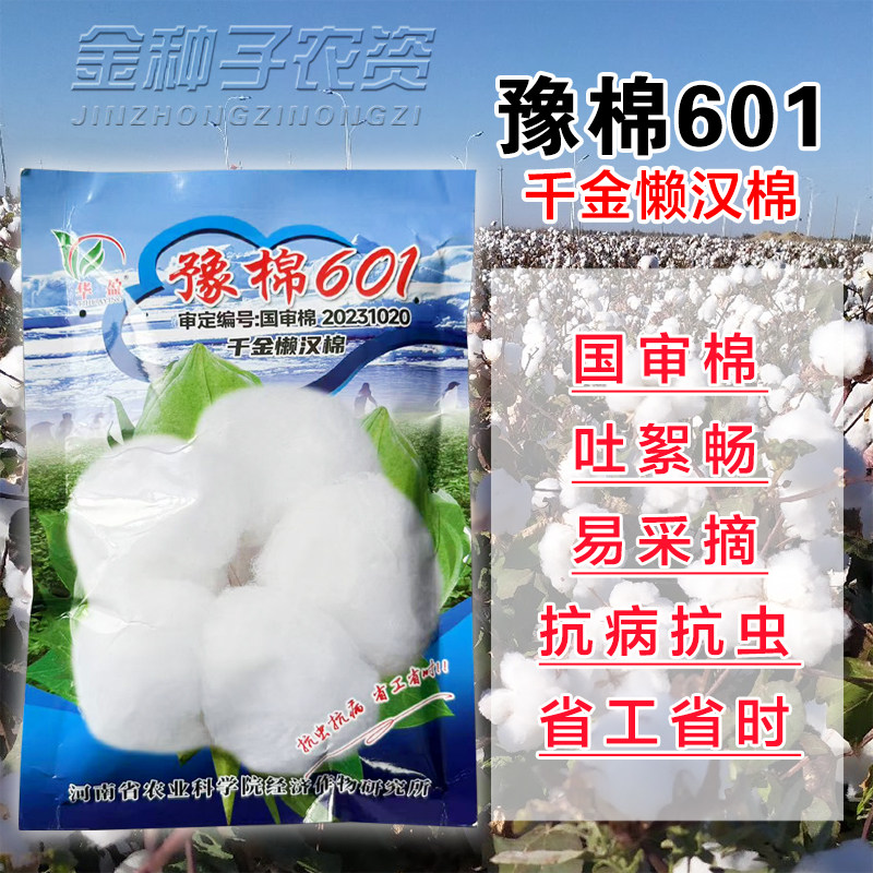 豫棉601千金懒汉棉棉花种子种籽抗虫抗病高产铃多桃大春季种子