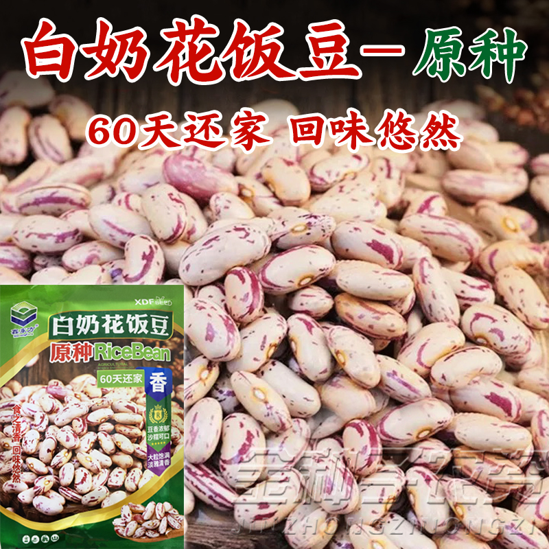 奶白花饭豆种子新籽不搭架