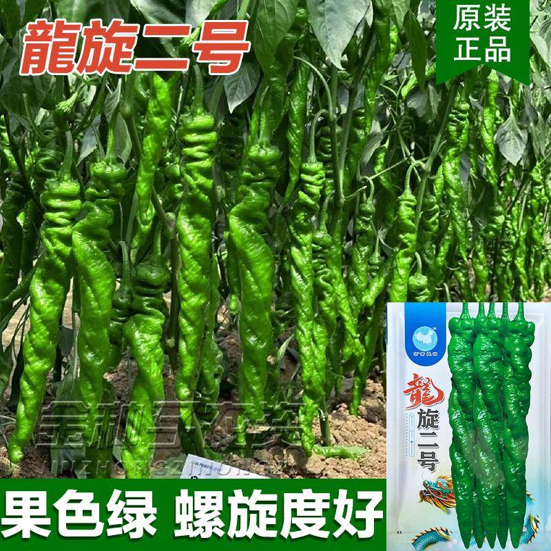 龙旋二号螺丝椒种籽大麻花全螺旋香辣螺丝辣椒种子春季秋季播蔬菜,农用物资,蔬菜种子/种苗,淘宝优惠券,粉丝福利购,淘宝优惠卷