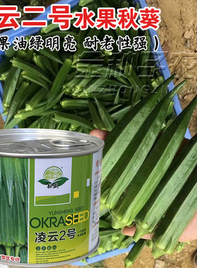 凌云2号秋葵种子高端水果
