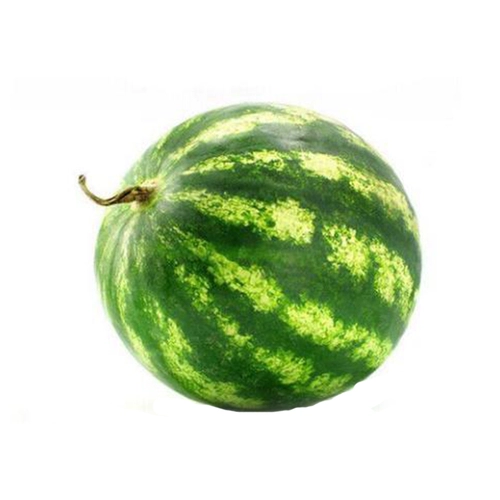 Гигантские семена арбуза чрезвычайно ленивые арбузы с высоким содержанием сахара с высоким содержанием сахара супер сладкий высокий высокий