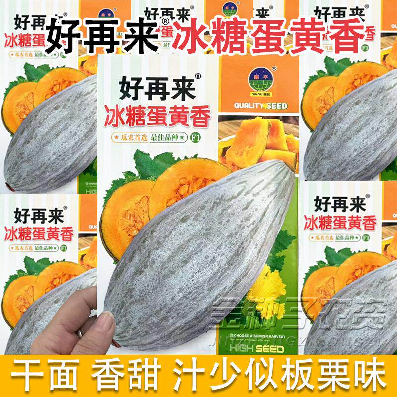 冰糖蛋黄香南瓜种子干甜香面贵族丑瓜甘甜栗南瓜种子东北金丝栗