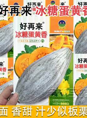 南瓜种子甘甜栗蛋黄香