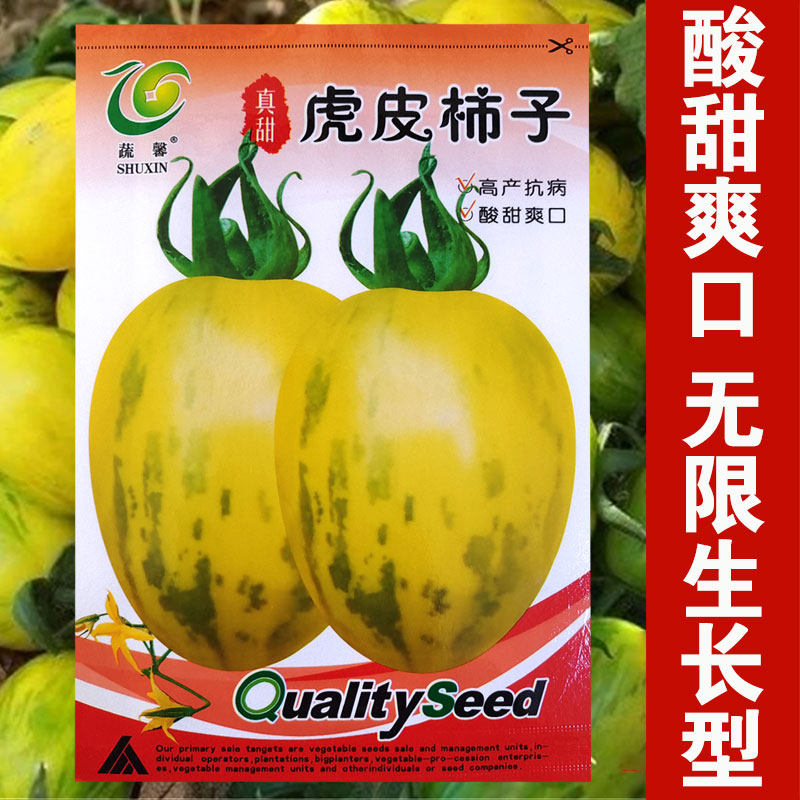 东北春季蔬菜水果种籽新籽农家柿子籽虎皮番茄种子柿子种子洋柿子