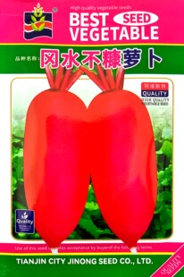 不糠心冈水萝卜种子红皮白肉水果萝卜甜脆生吃春秋季盆栽庭院种籽