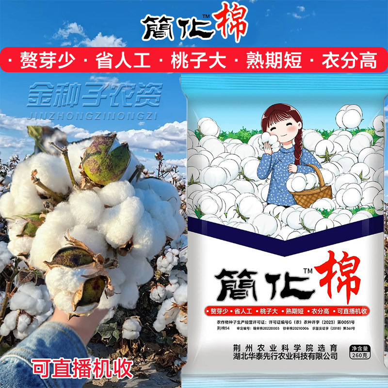 简化棉种子懒汉棉棉花种子种籽大田种植农用四季高产子孑春季籽种