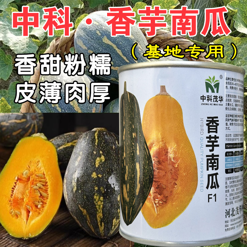 中科香芋南瓜种子粉糯香甜皮薄蜜本南瓜爬地搭架四季蔬菜种子籽孑,鲜花速递/花卉仿真/绿植园艺,家庭园艺种子,淘宝优惠券,粉丝福利购,淘宝优惠卷