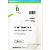 荷兰BEJO羽衣甘蓝种子 冬宝耐寒养生保健蔬菜种子原装进口特菜奇