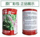 Tiangui Nuo 937 красочные сладкие восковые семена кукурузы, цветы, сладкие восковые семена кукурузы, четыре сезона, восковые семена кукурузы, тонкий цвет кожи