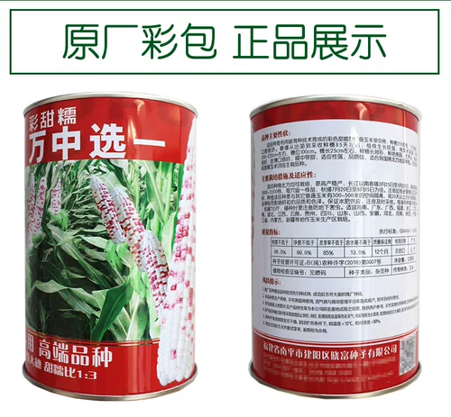 Tiangui Nuo 937 красочные сладкие восковые семена кукурузы, цветы, сладкие восковые семена кукурузы, четыре сезона, восковые семена кукурузы, тонкий цвет кожи