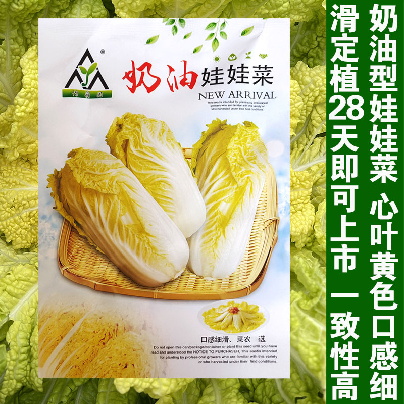 奶油娃娃菜种子黄心小白菜
