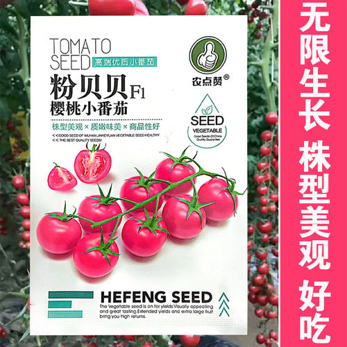 粉贝贝樱桃小番茄种子好吃
