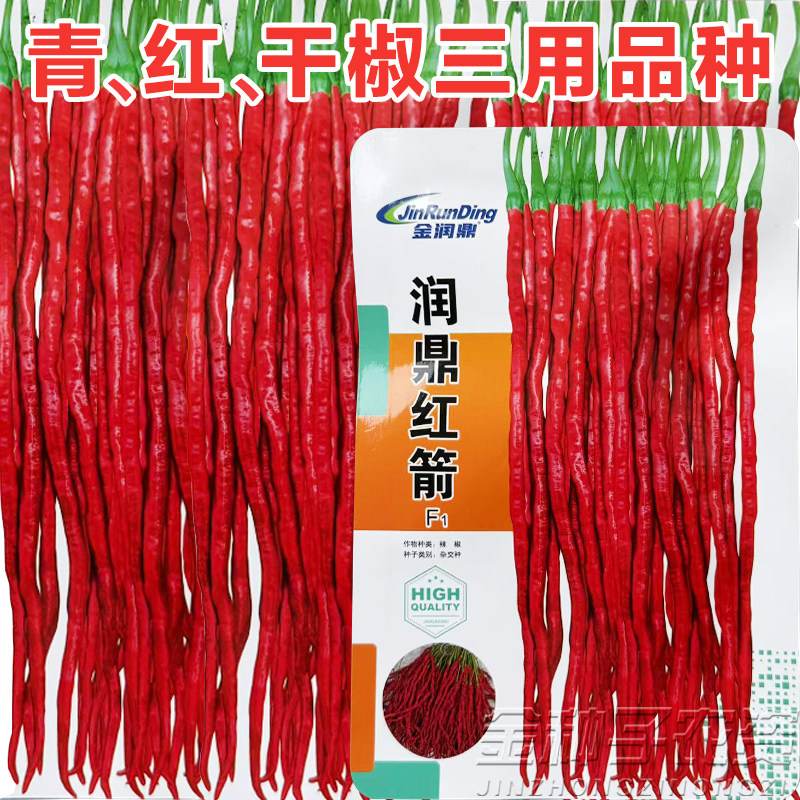 特长香辣薄皮细长线椒种子
