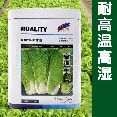 春夏高温耐热快菜28天速生白菜蔬菜种子四季播种菜籽快速收获 - 封面
