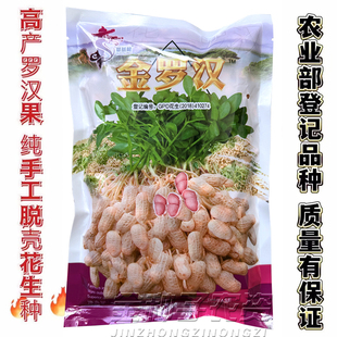 金罗汉纯手工脱壳花生种子高产华一罗汉果花生种子籽小果好吃春播
