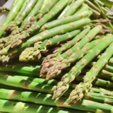 Семена спаржи Четыре сезона, посеянные годы зеленой жаркой семя