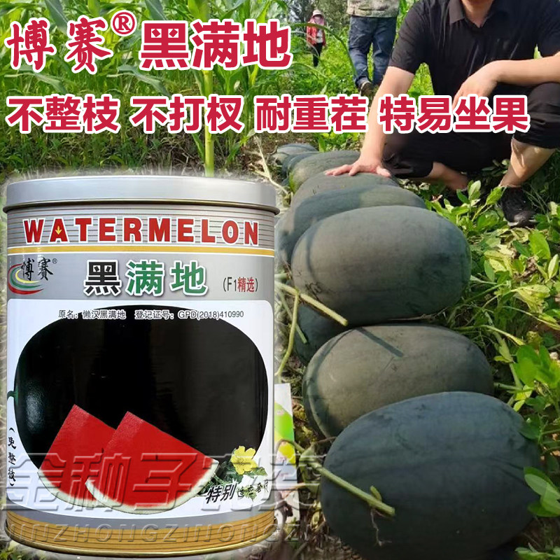 黑皮大西瓜种子特甜超大