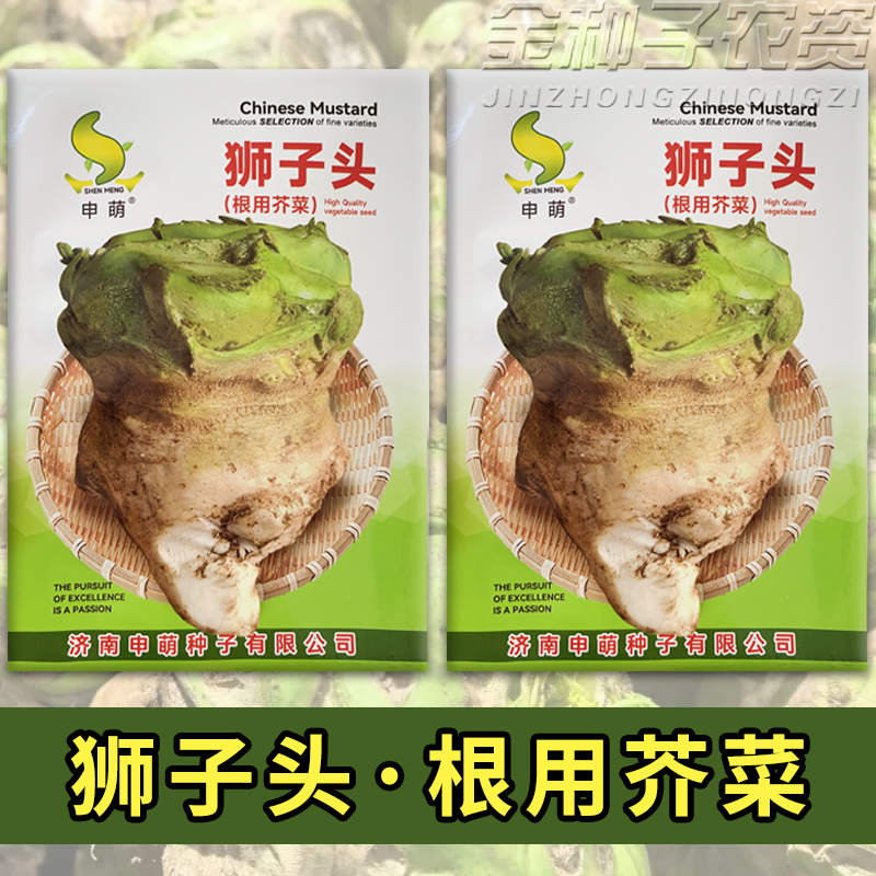辣疙瘩菜种子狮子头疙瘩