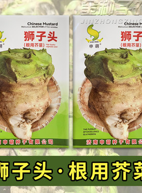 辣疙瘩菜种子狮子头疙瘩