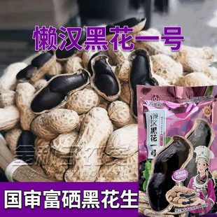 手工剥米薄壳高产原种黑花生种子花矮杆早熟两粒春夏季播大田用种