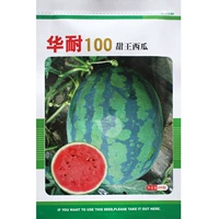 Hualien 100 Sweet King 200 штуки очень устойчивы к большому красному мясу