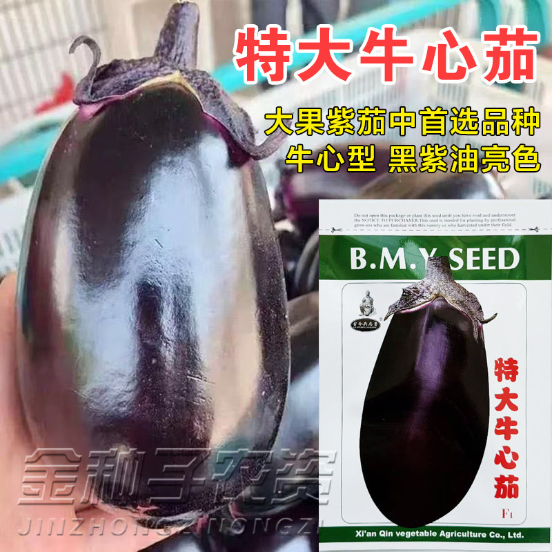 特大牛心茄种子罐茄种籽紫把紫黑色茄子高产四季蔬菜庭院阳台包邮,农用物资,蔬菜种子/种苗,淘宝优惠券,粉丝福利购,淘宝优惠卷
