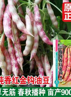 炖炖香红金钩油豆种子肉厚无筋