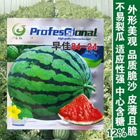 Saya 8424 Aarbermelon 100 Семейный двор