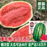 Ленивый мужчина Ван очень большой гигантский ленивый мужчина семена арбуза