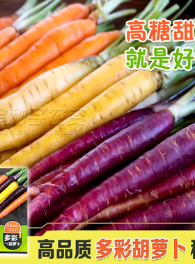 彩色胡萝卜种子高产四季阳台盆栽蔬菜种籽孑紫色红皮红心水果萝卜