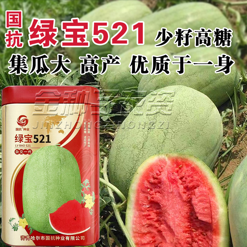 国抗绿宝521特大新红宝西瓜种子绿宝王深绿瓜少籽高糖瓜大高产型